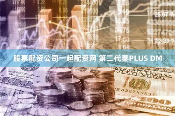 股票配资公司一起配资网 第二代秦PLUS DM