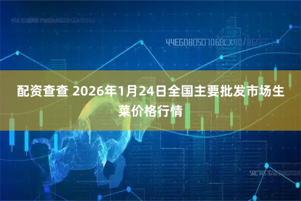 配资查查 2026年1月24日全国主要批发市场生菜价格行情